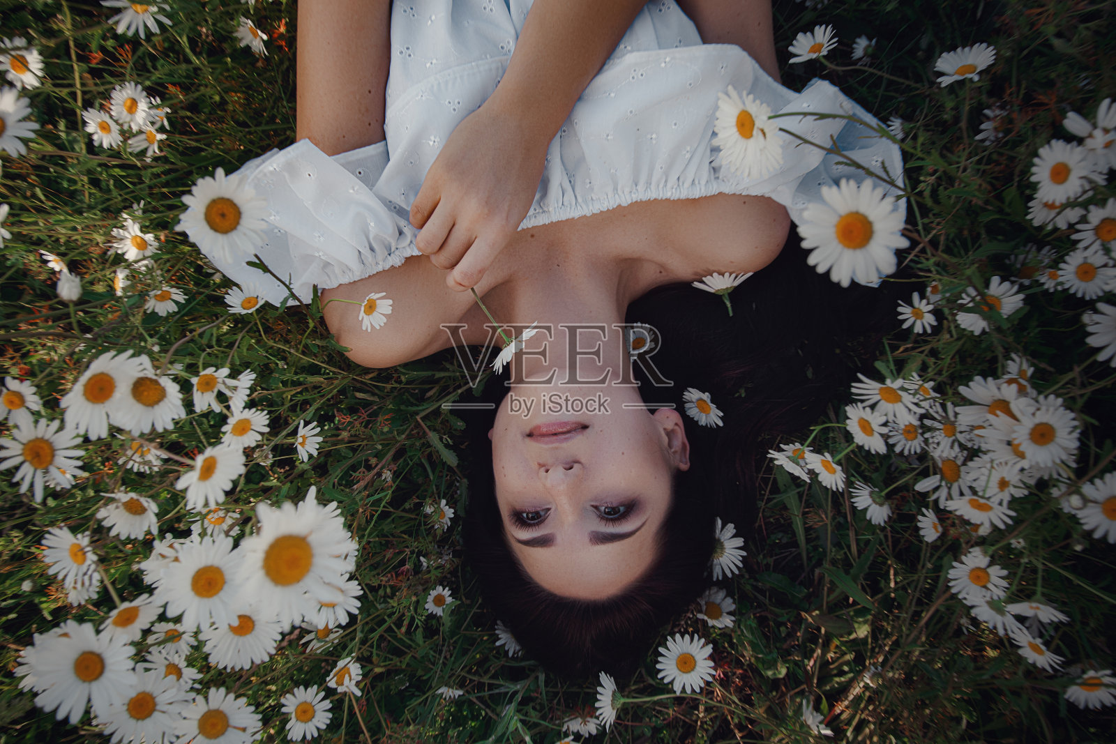 美丽的黑发女人正在雏菊地里享受春天照片摄影图片