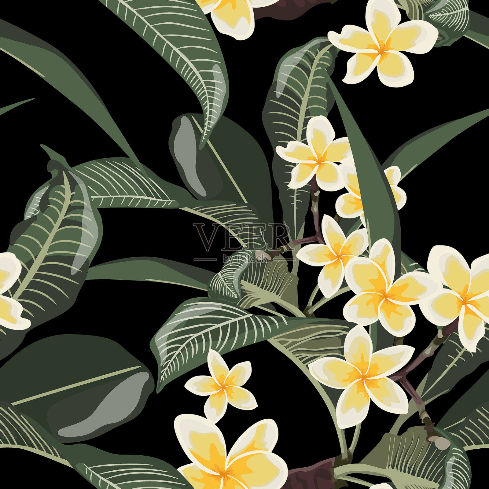 鸡蛋花属热带奇异花朵无缝图案插画图片素材