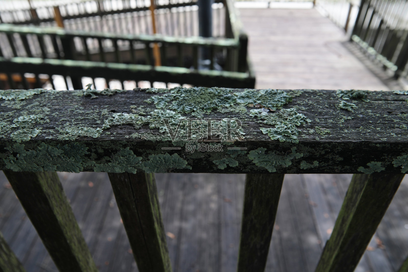 街道上楼梯的旧栏杆上长着青苔。照片摄影图片