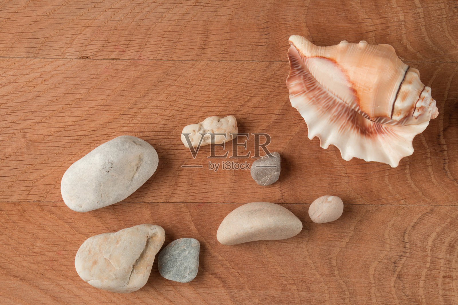 木板上散落着各种大小的光滑石块和贝壳照片摄影图片