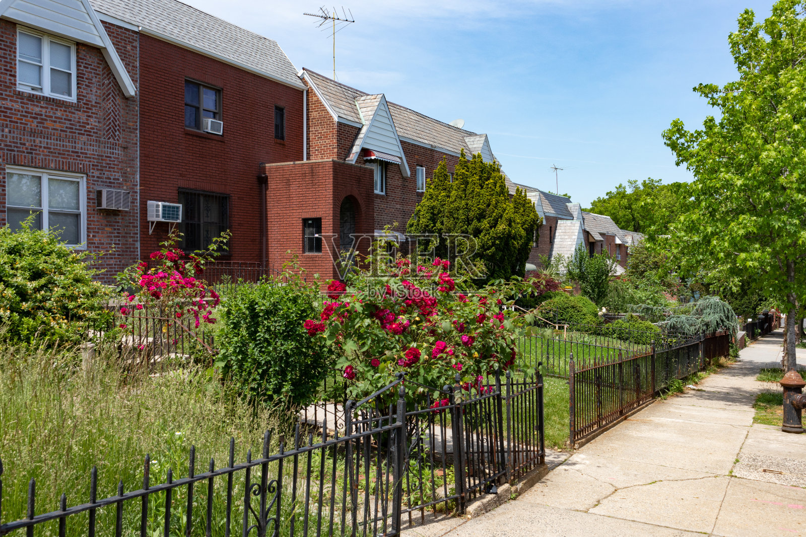 在纽约阿斯托里亚皇后区春天沿着人行道的美丽绿色花园的老房子排照片摄影图片
