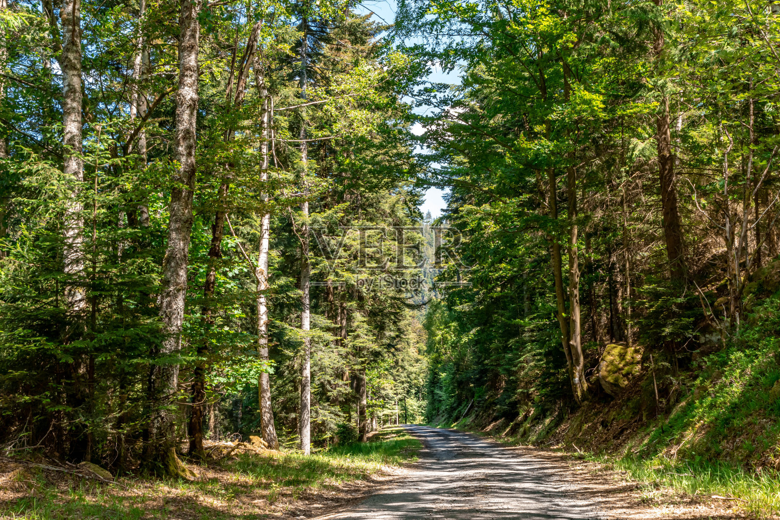 在国家公园徒步旅行照片摄影图片