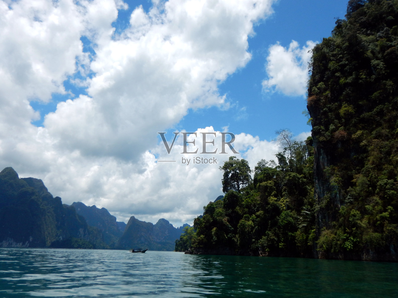 湖边郁郁葱葱的森林。照片摄影图片