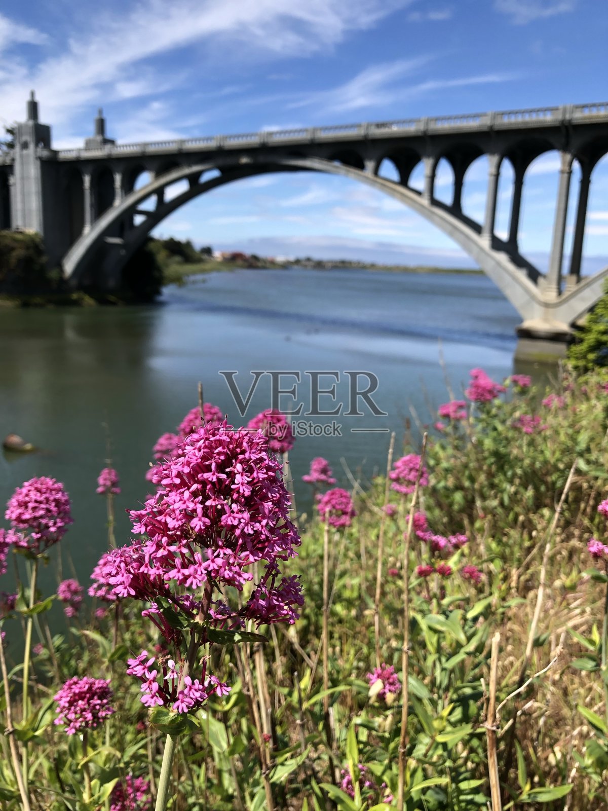 桥下的照片摄影图片