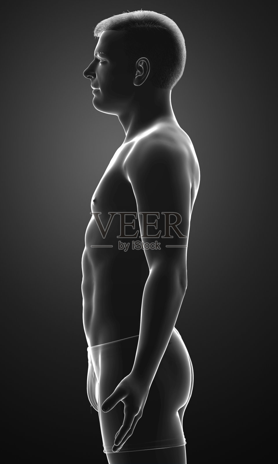 男性身体的3d渲染图照片摄影图片