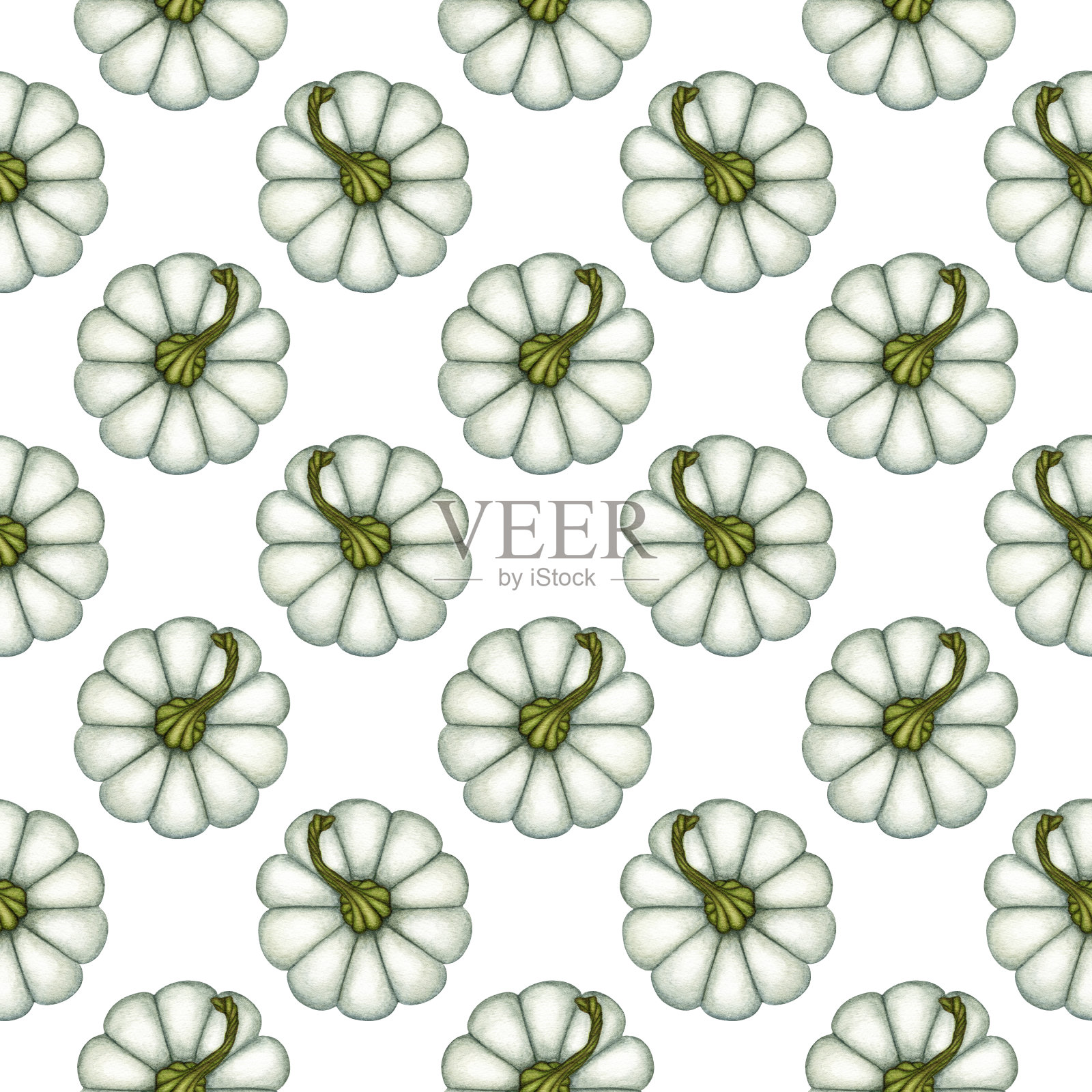 水彩黄南瓜南瓜无缝图案。蔬菜,象征秋天的季节,收获。手绘背景设计插画图片素材