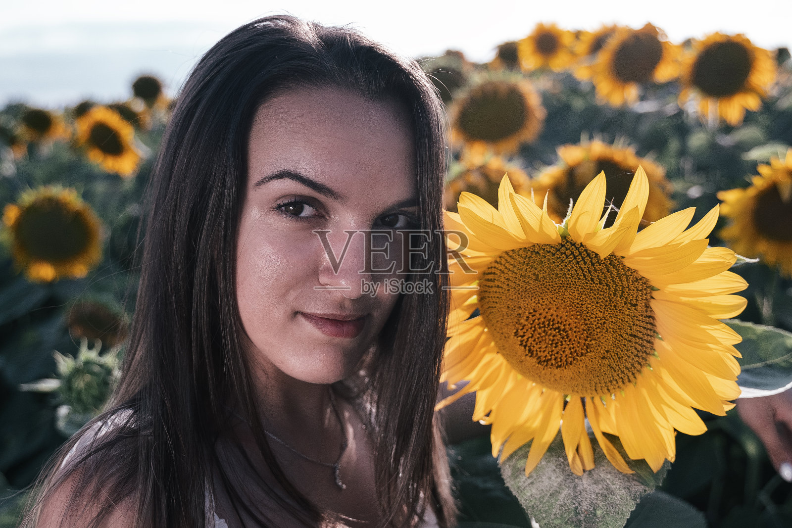 青少年的精神。一个年轻女孩的肖像在向日葵植物在夏天。旅行和享受。生态旅游。照片摄影图片