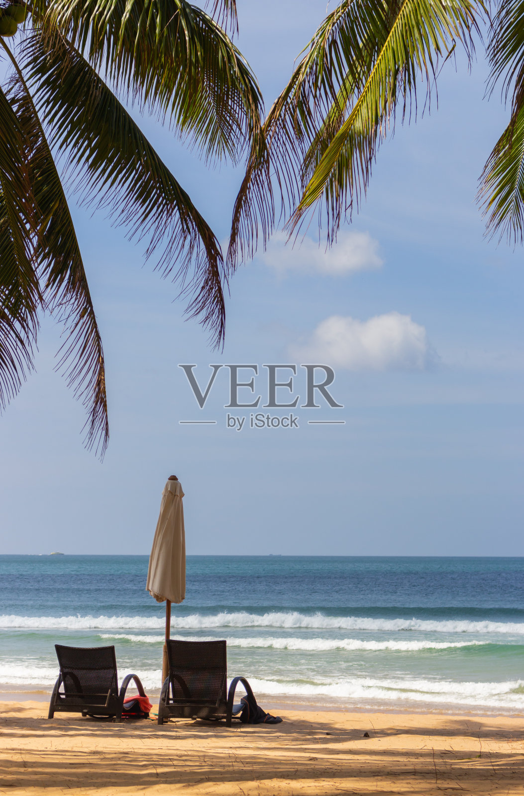 风景优美的热带海滩,棕榈树和日光浴床,垂直。田园诗般的度假胜地的背景。在海滨度假。旅游和异国情调的放松理念。热带景观。空的度假胜地。照片摄影图片