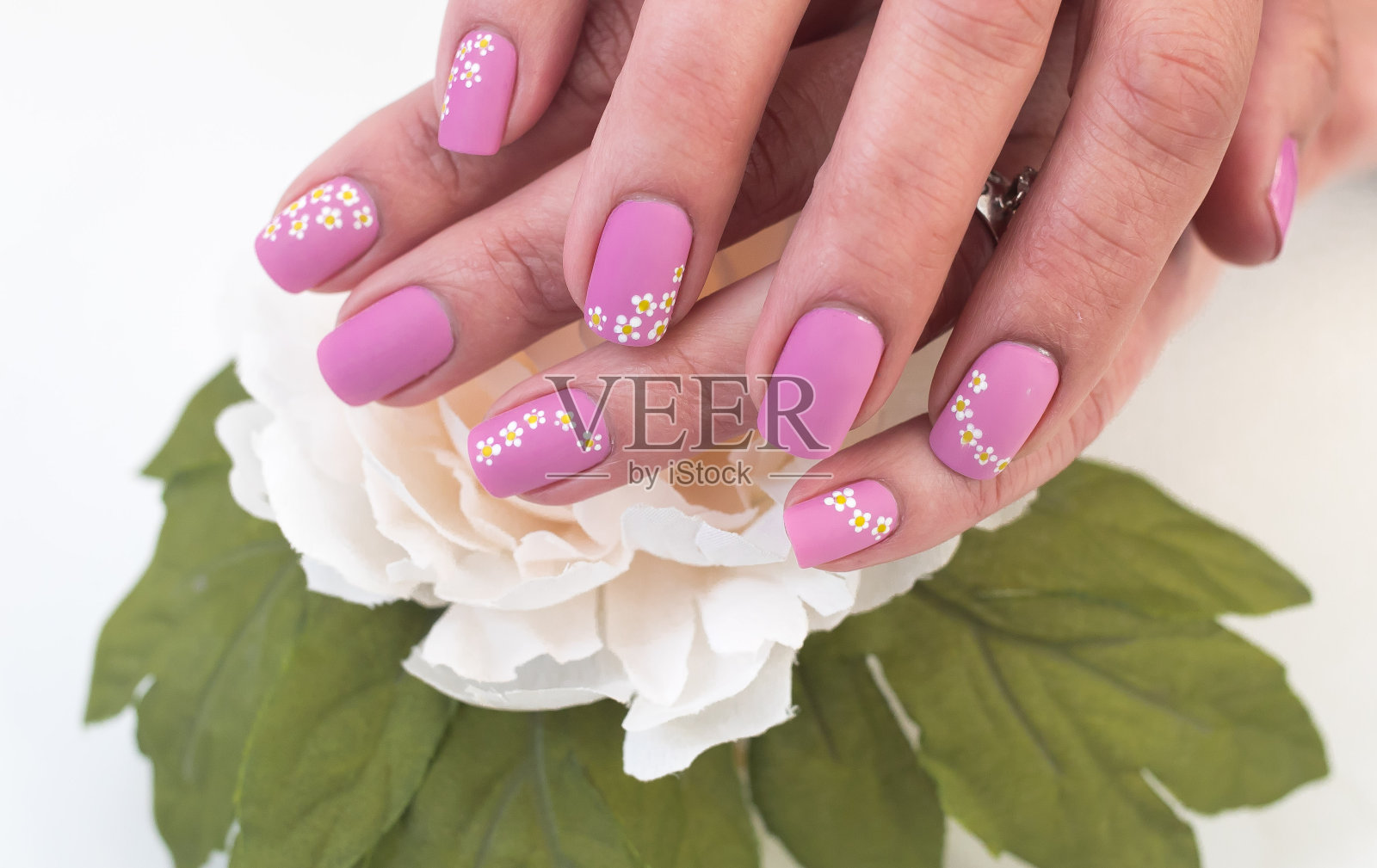 白色雏菊花指甲艺术设计照片摄影图片