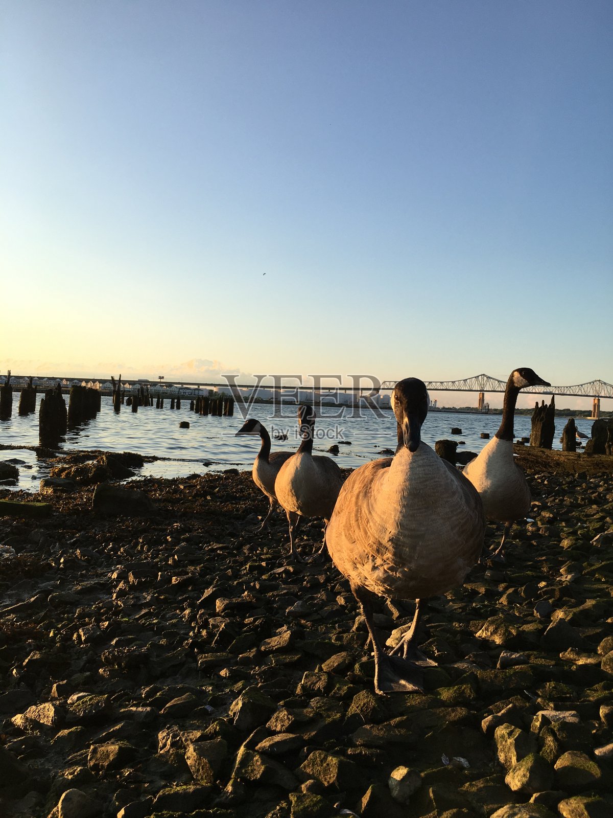 七月日落,纽约,纽约。照片摄影图片