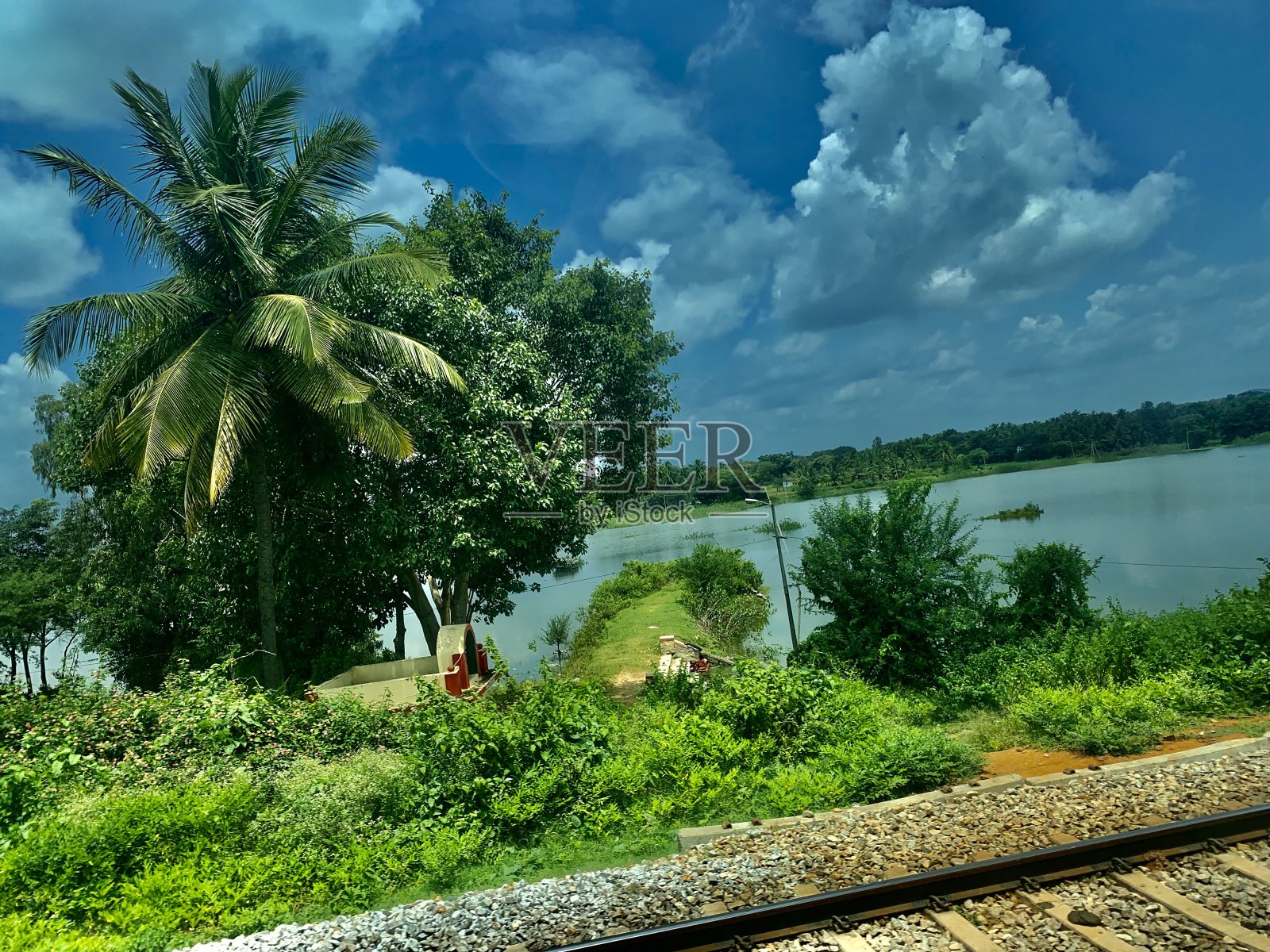 树和湖在郊区照片摄影图片