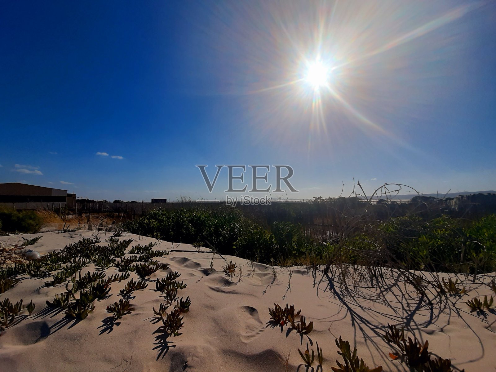 海滩照片摄影图片