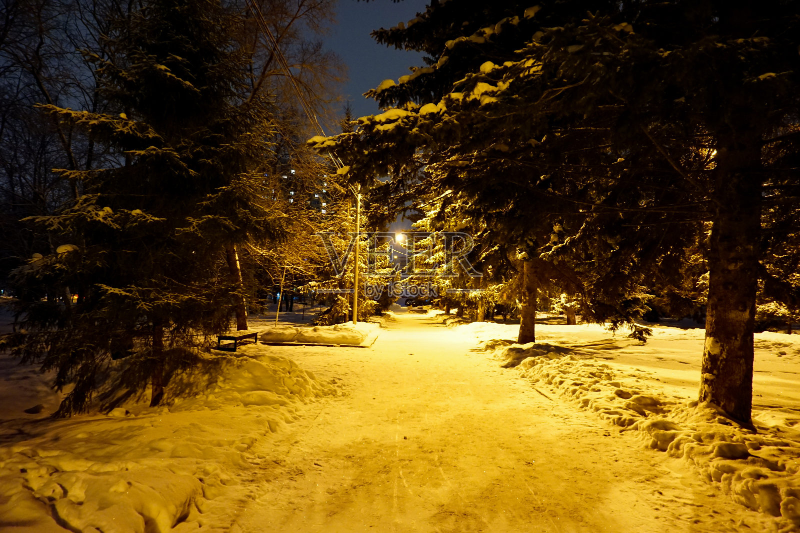 冬夜雪公园照片摄影图片