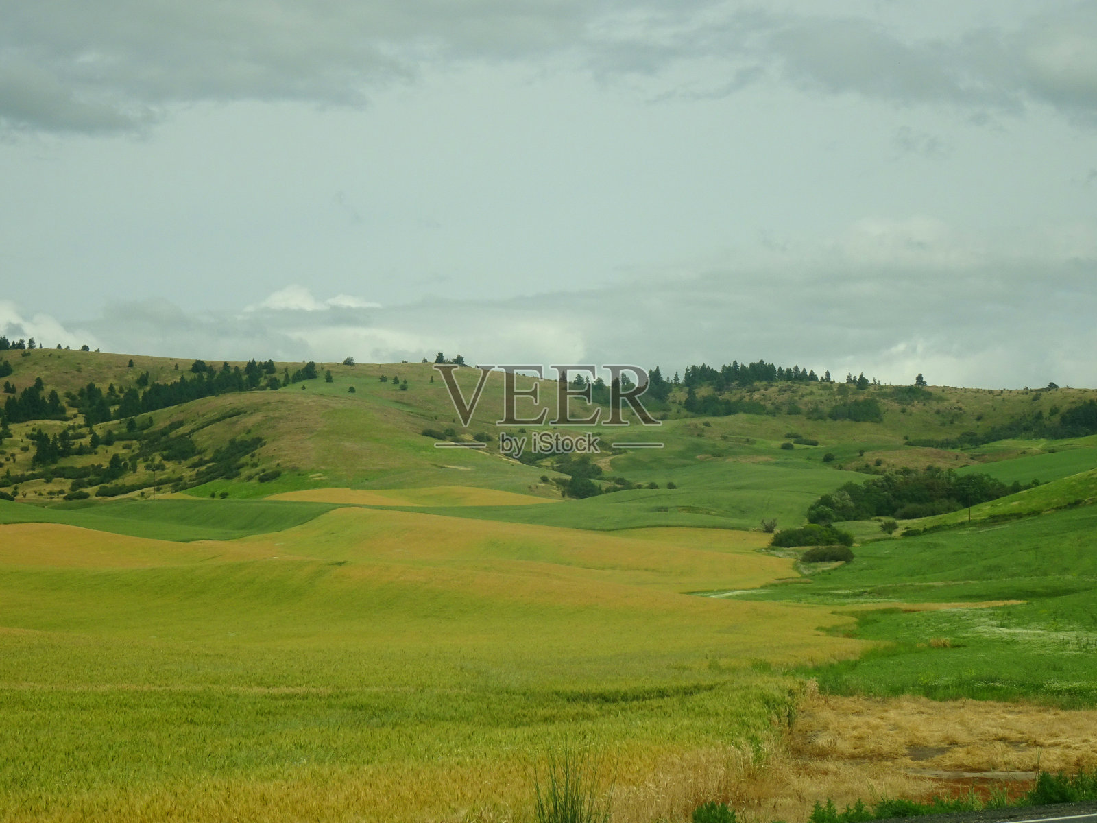 颜色的农场照片摄影图片