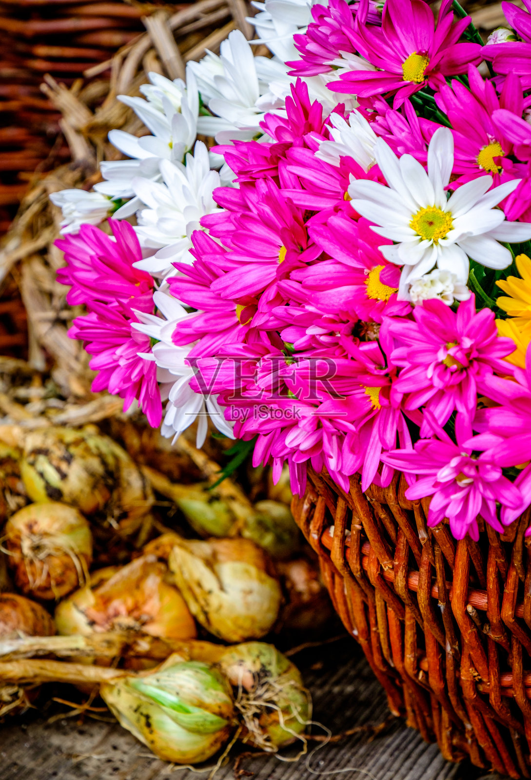 乡村花装饰照片摄影图片