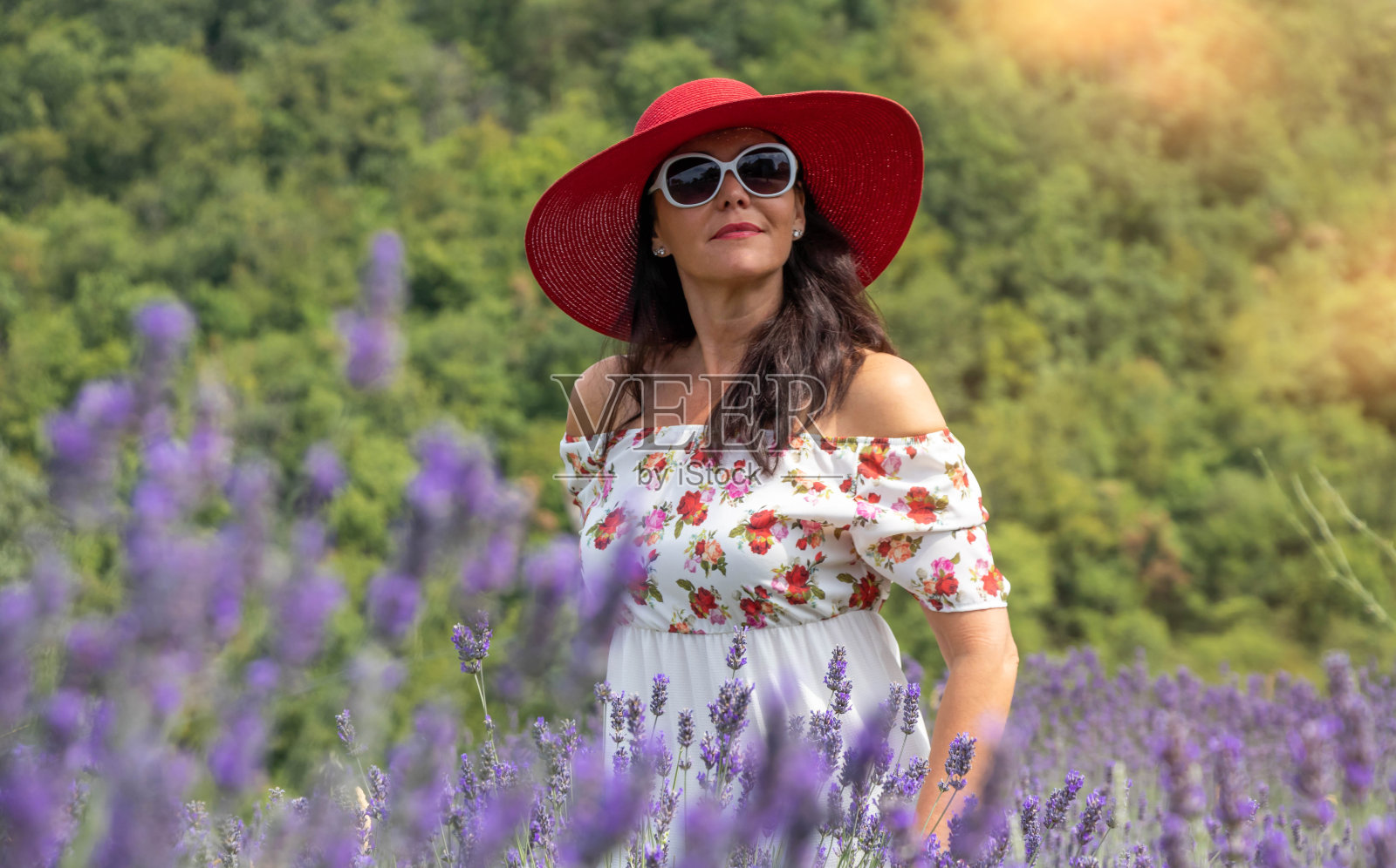 薰衣草田里的美女照片摄影图片