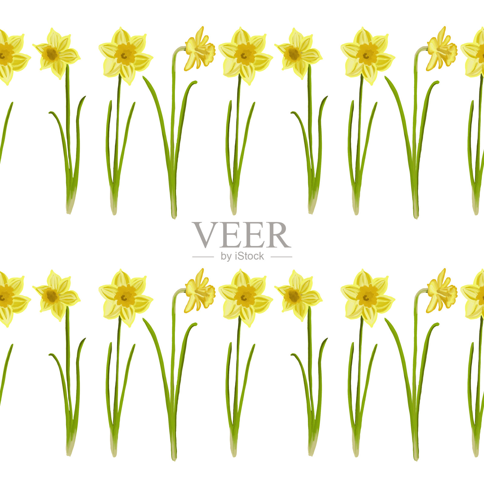 无缝图案绘制水仙花插画图片素材