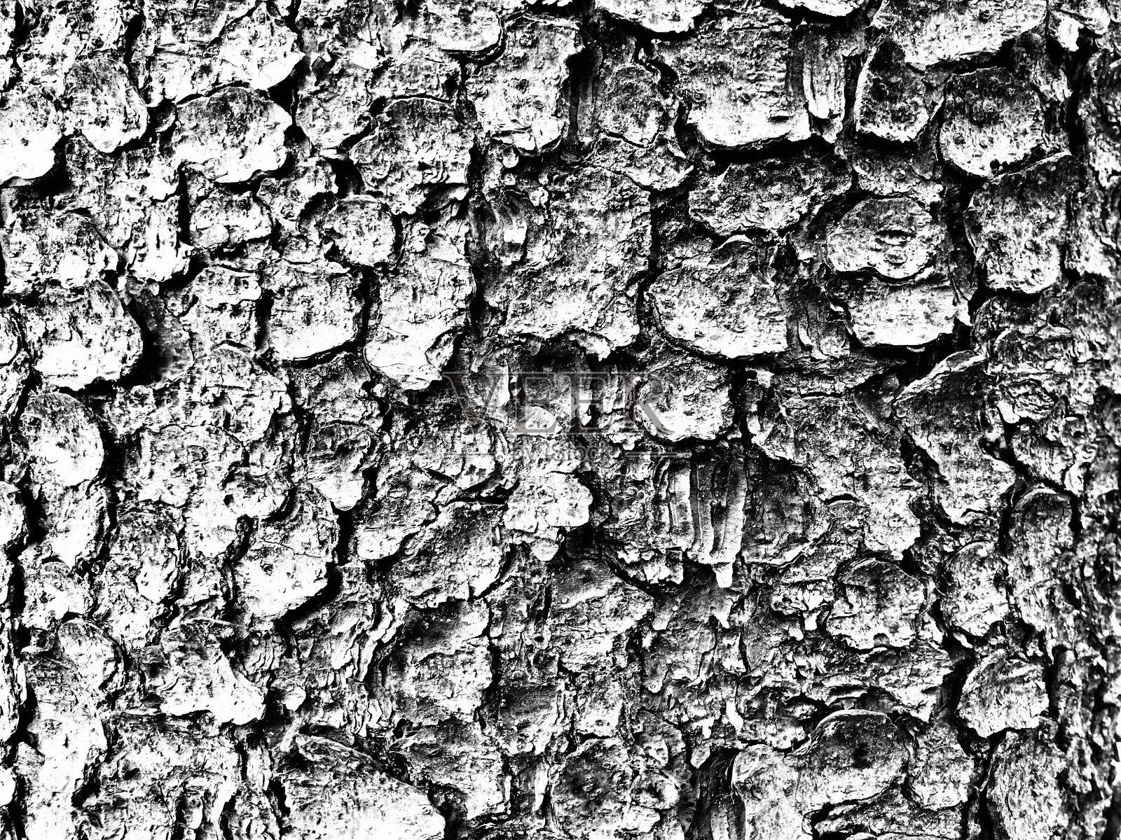 灰色梯度照片摄影图片