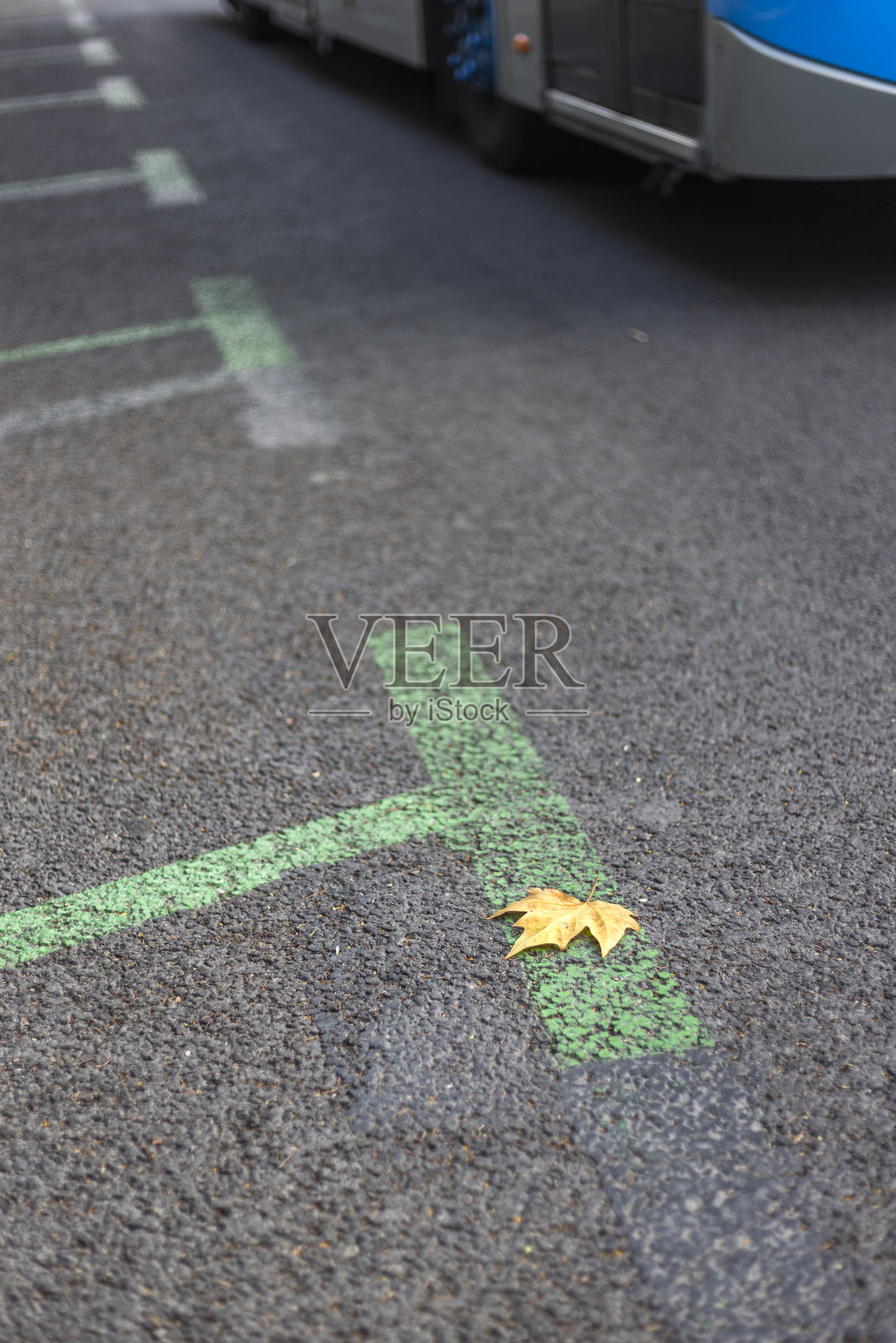 停线照片摄影图片