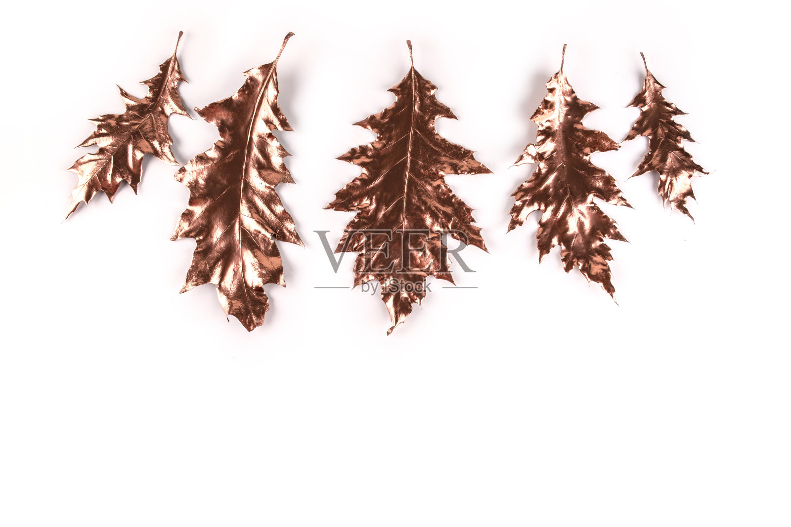 秋天的成分。白色背景上的金色橡树叶。秋天,秋天的概念。平铺,俯视图,拷贝空间照片摄影图片