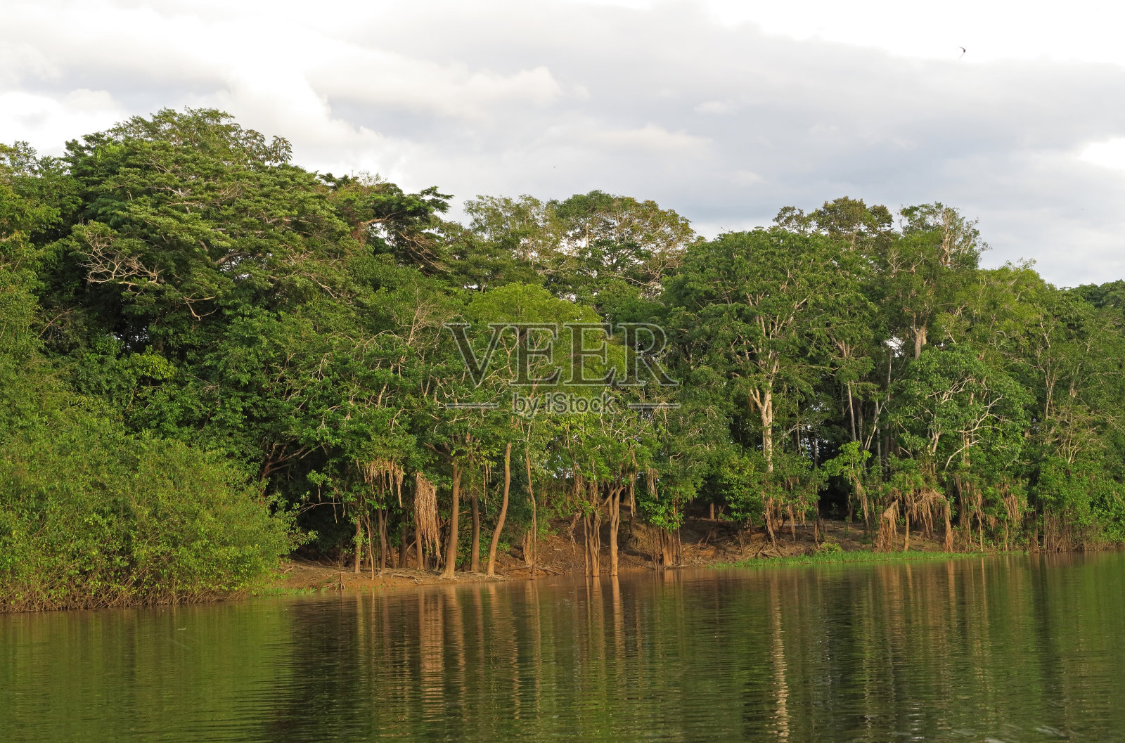 季节性泛滥的河岸照片摄影图片