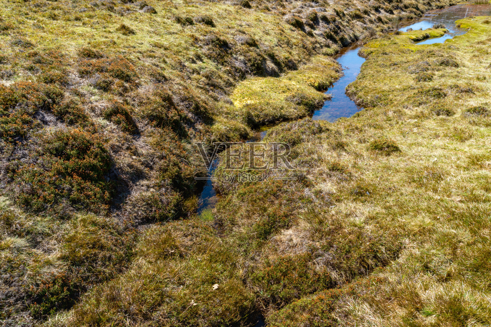 在澳大利亚塔斯马尼亚岛摇篮国家公园的陆上轨道徒步旅行照片摄影图片