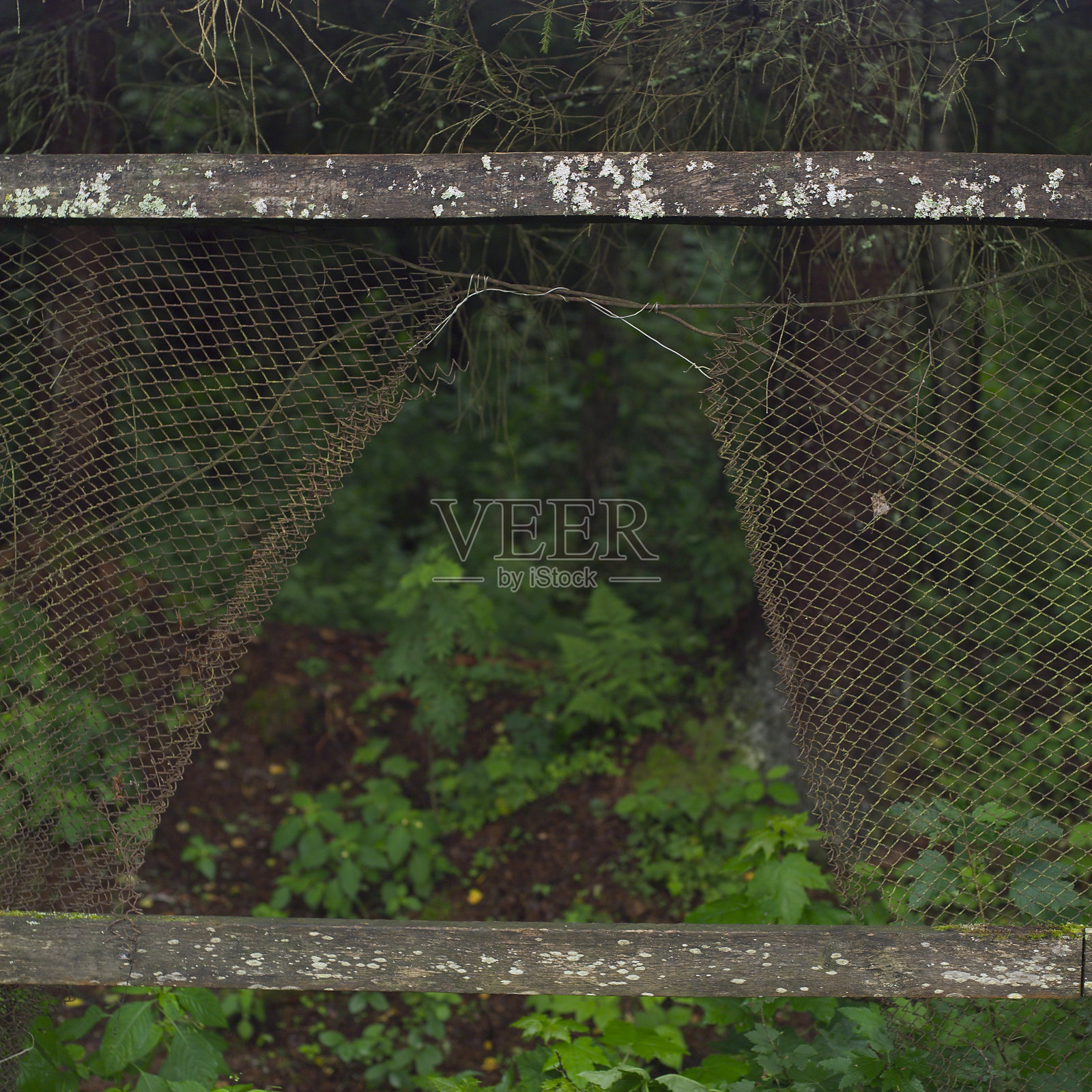 钢网上有个洞照片摄影图片