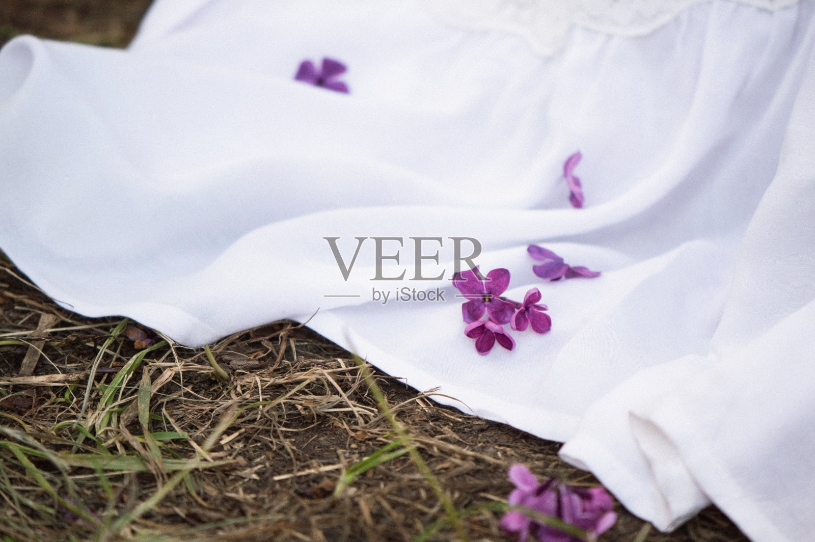 近,宏。白色裙子的下摆躺在草地上,丁香花瓣散落在上面。照片摄影图片