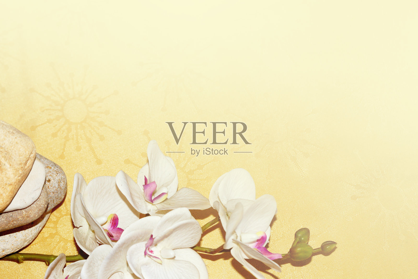 白色兰花花和天然石雕金字塔,放松禅宗背景照片摄影图片