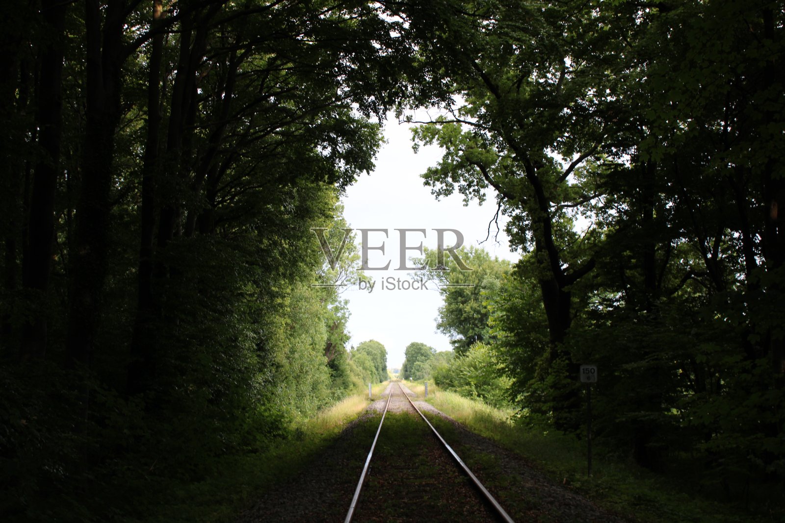 福里斯特的火车架照片摄影图片