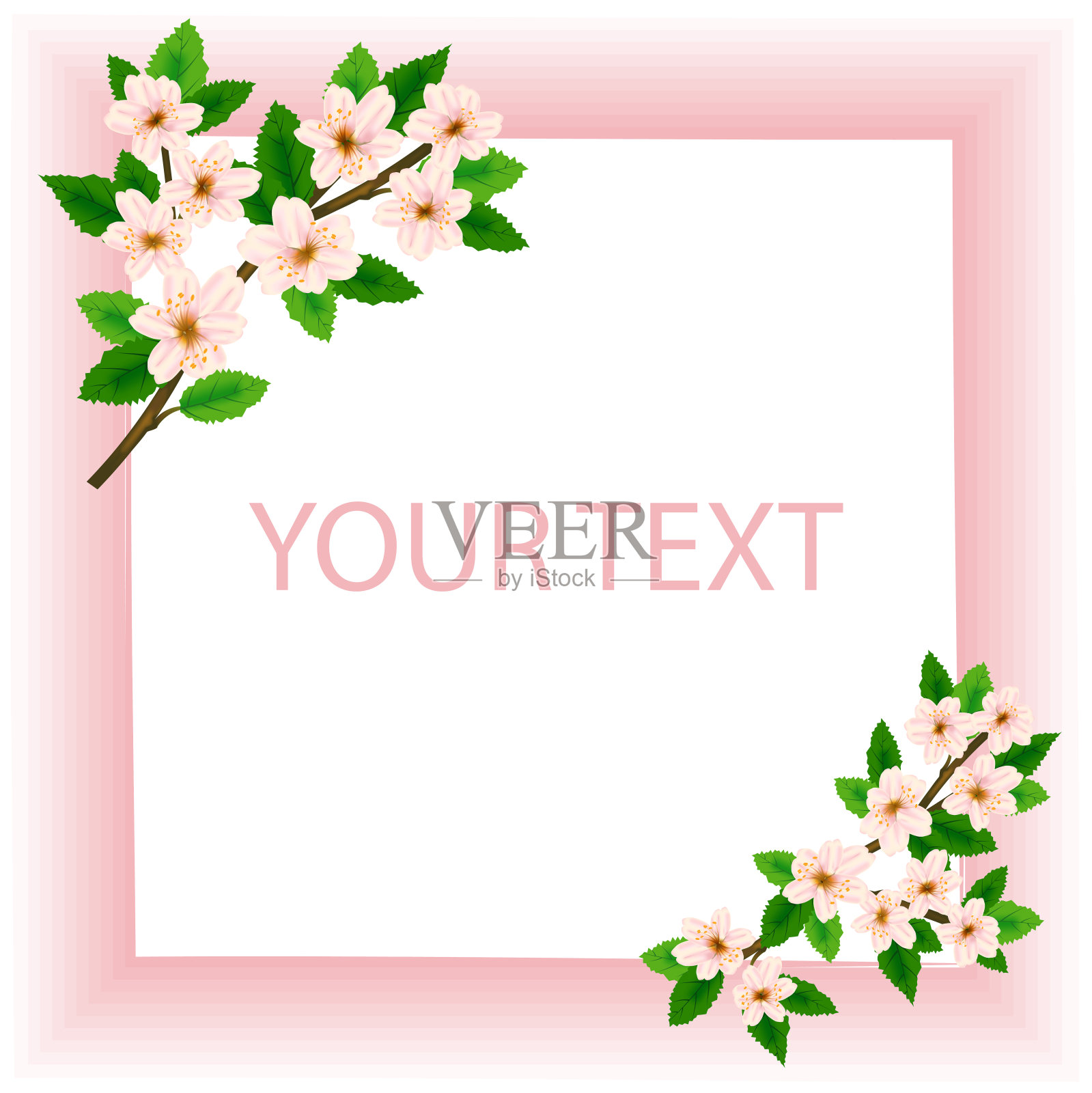 一幅粉红色背景上的春花绿叶的画框插画图片素材