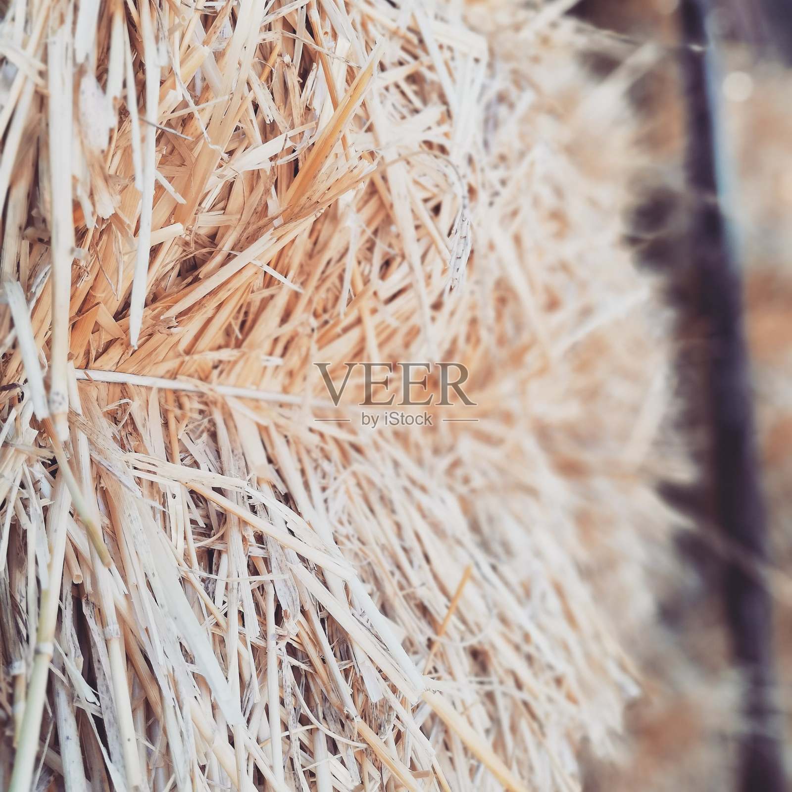 一捆稻草和干草照片摄影图片