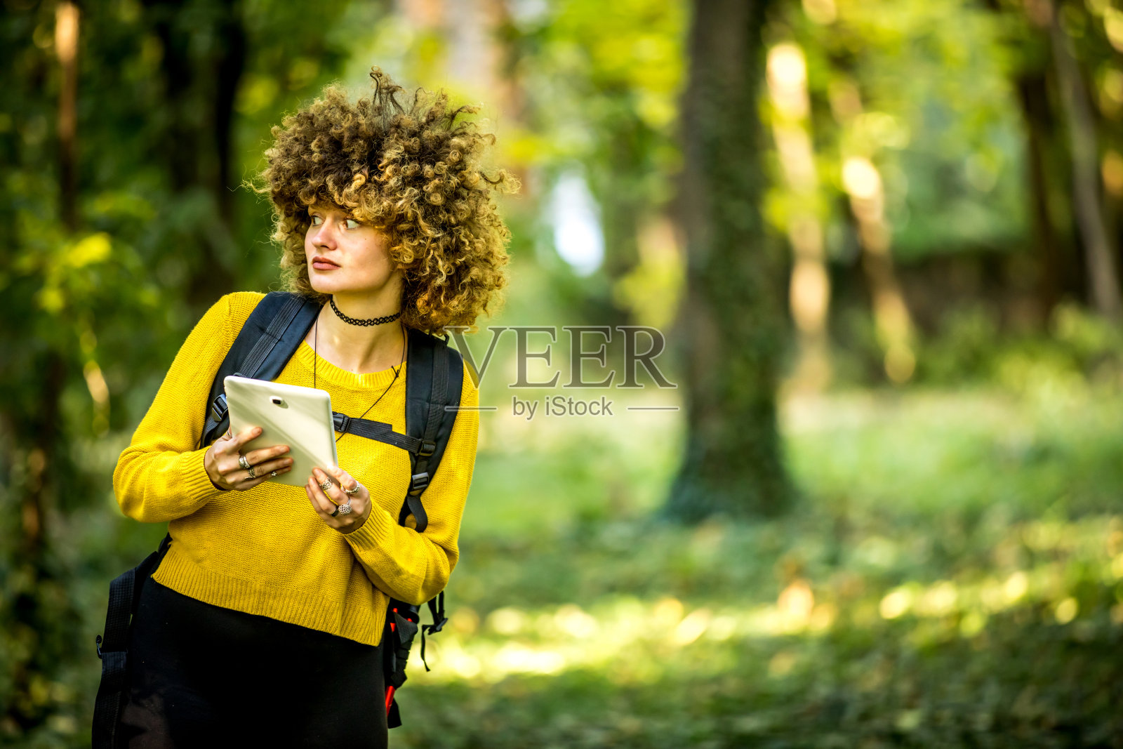 女性植物学家正在观察有问题的柚木的叶子,将变化保存在一块平板上。照片摄影图片