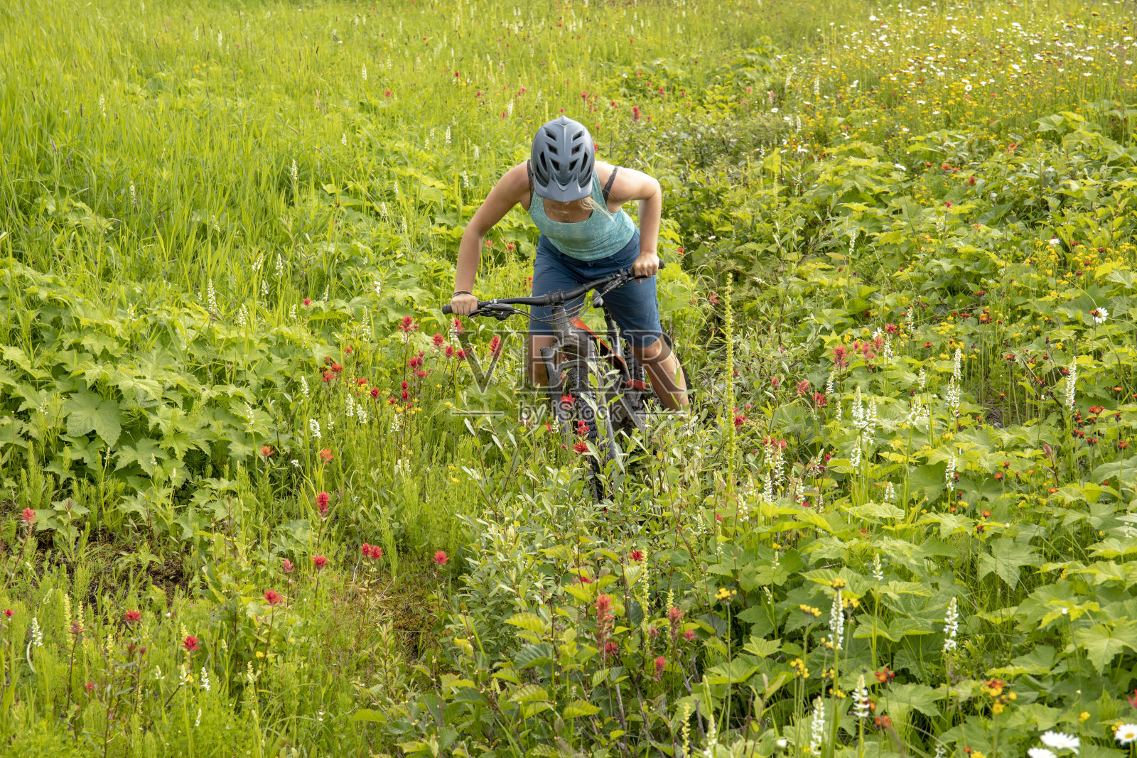 女山地电动摩托车穿过草地照片摄影图片