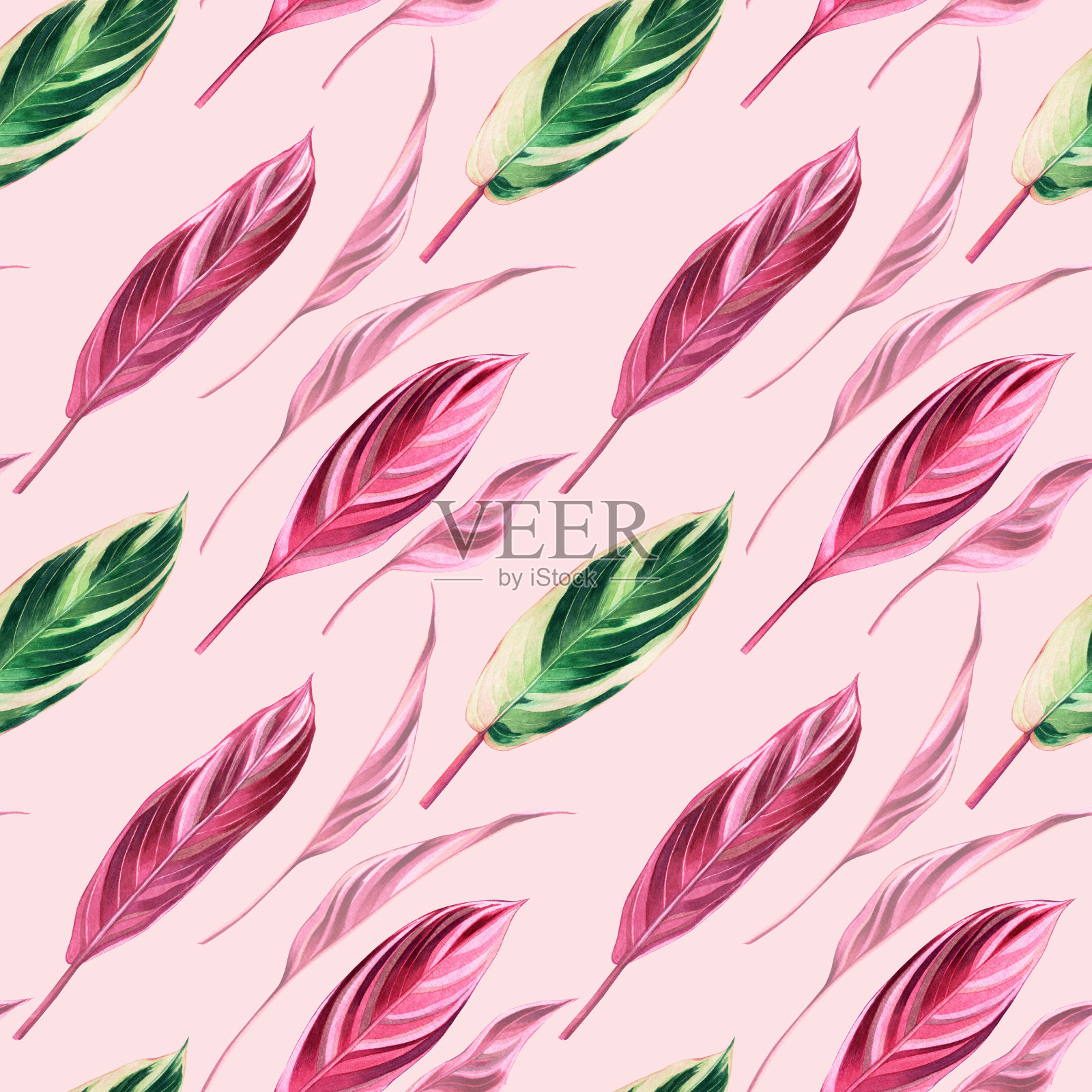 水彩画五彩缤纷的热带绿色,粉红色的叶子无缝图案背景。水彩手绘插图热带异国情调的叶子印花墙纸,纺织夏威夷阿罗哈夏季风格。插画图片素材