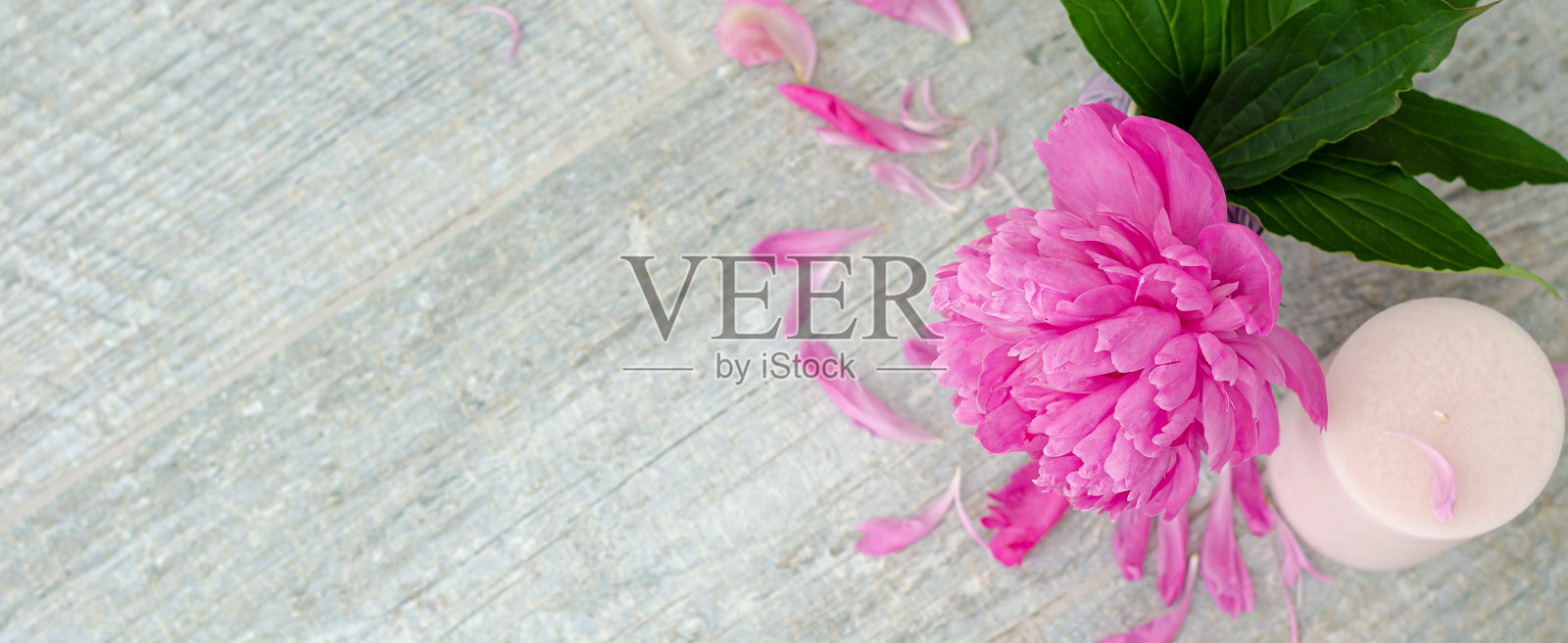 美丽的粉红色牡丹花和白色的蜡烛在灰色的石头背景与复制空间的文字,俯视图。贺卡。照片摄影图片