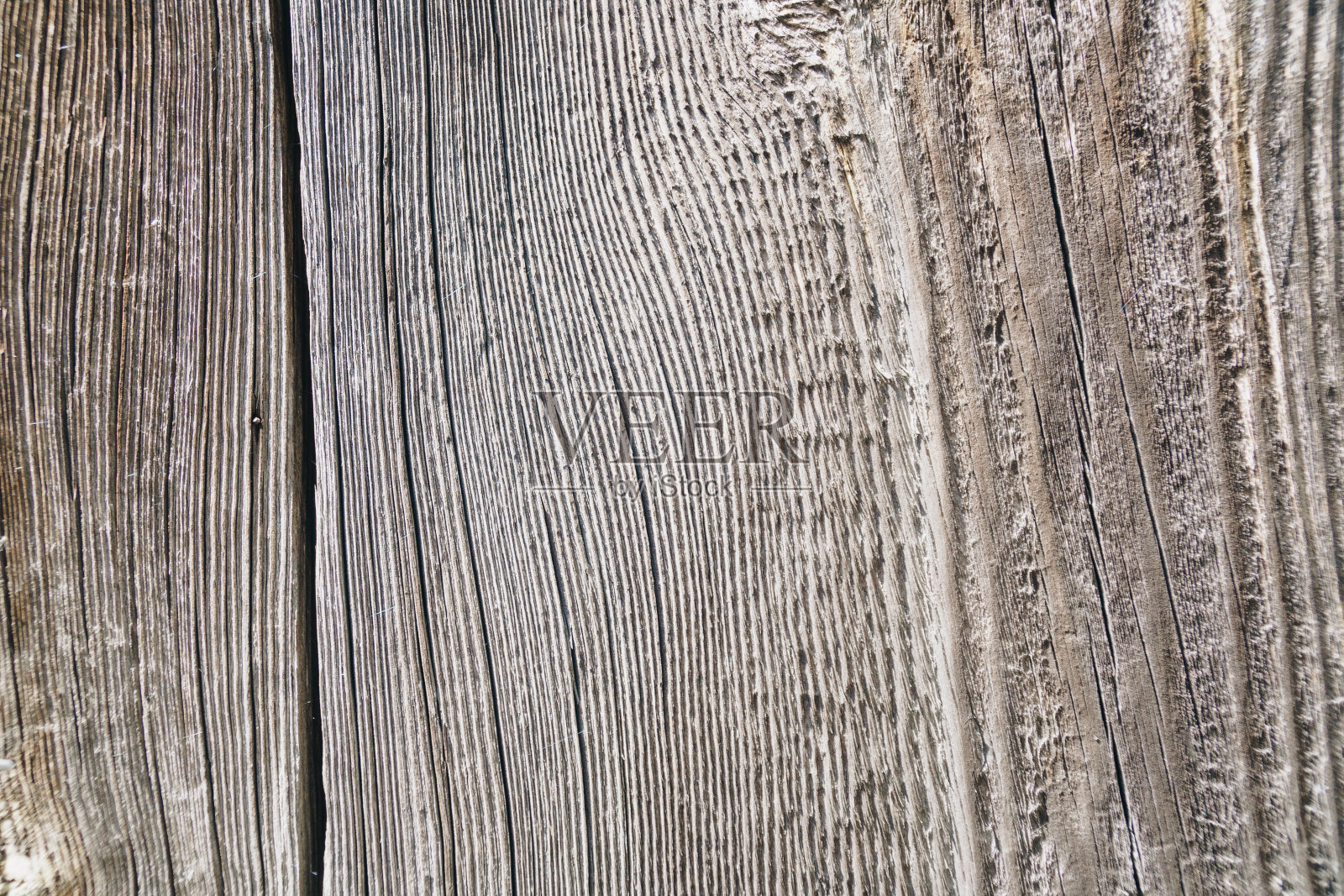 抽象的木制背景。一棵老树的纹理照片摄影图片