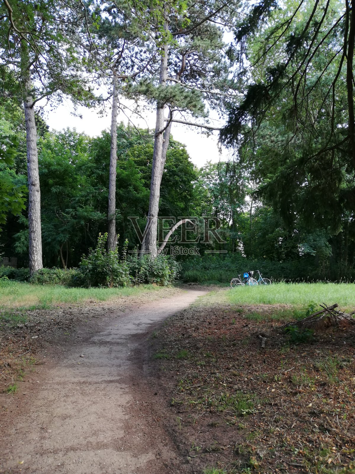 公园里的自行车照片摄影图片