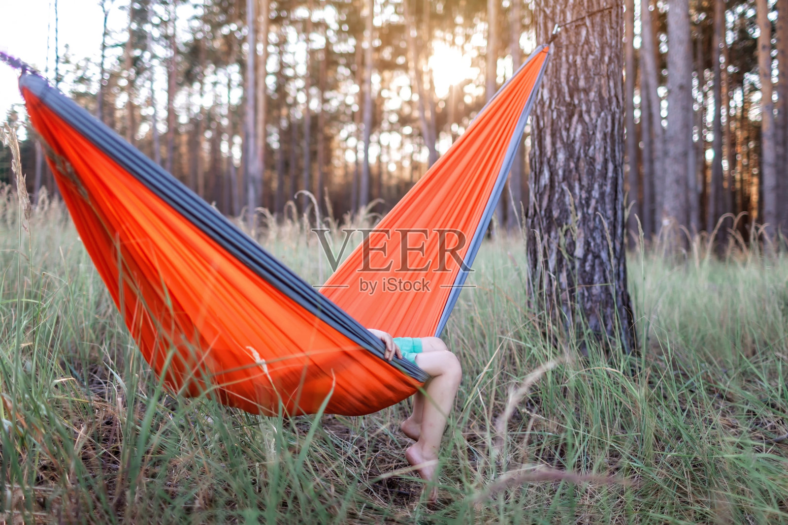 可爱的男孩休息在吊床在野生森林在当地度假,家庭夏季周末照片摄影图片