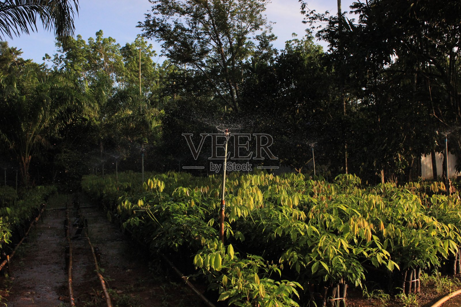 喷水灭火系统照片摄影图片