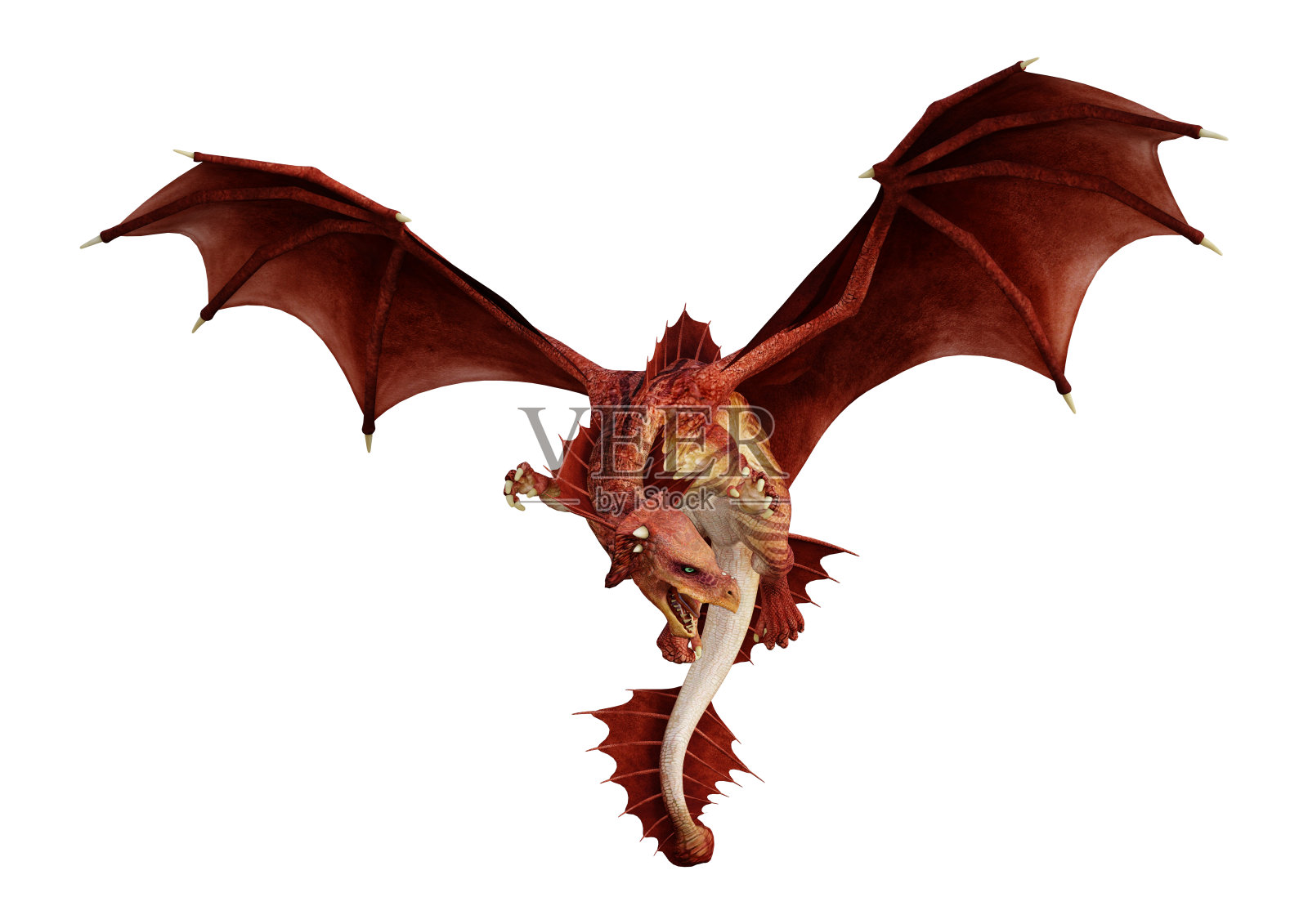 3D插图幻想龙在白色照片摄影图片