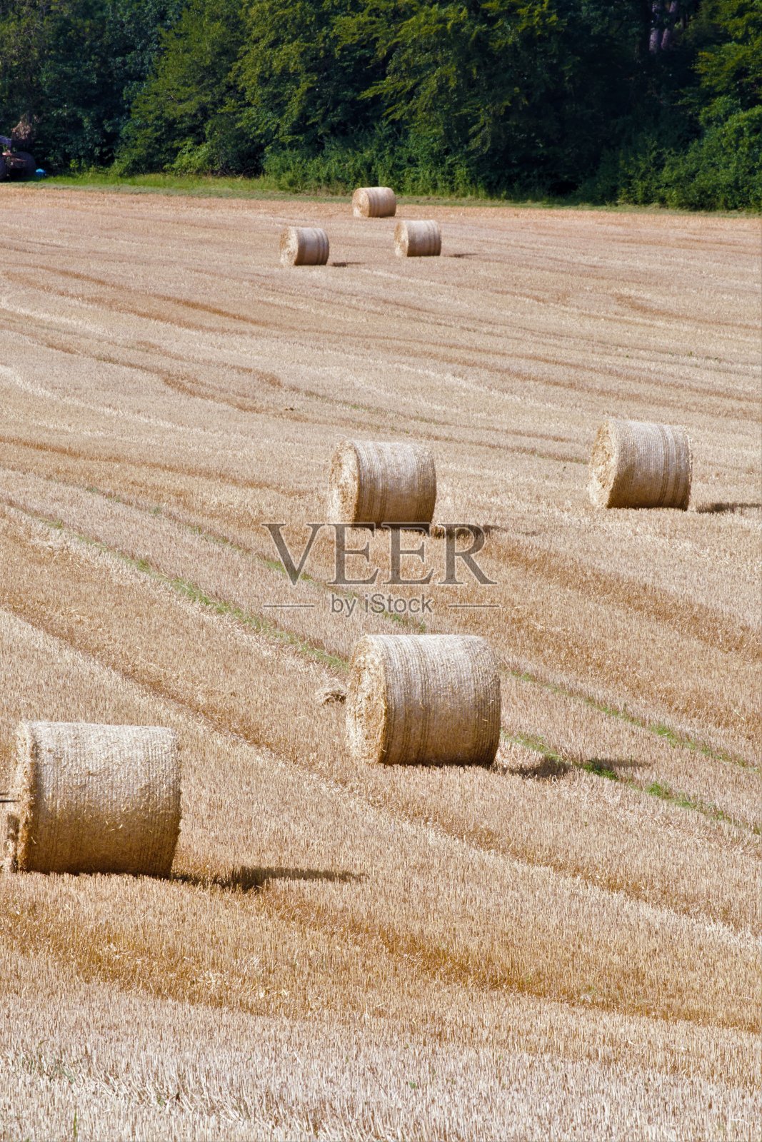 拖拉机在田间照片摄影图片