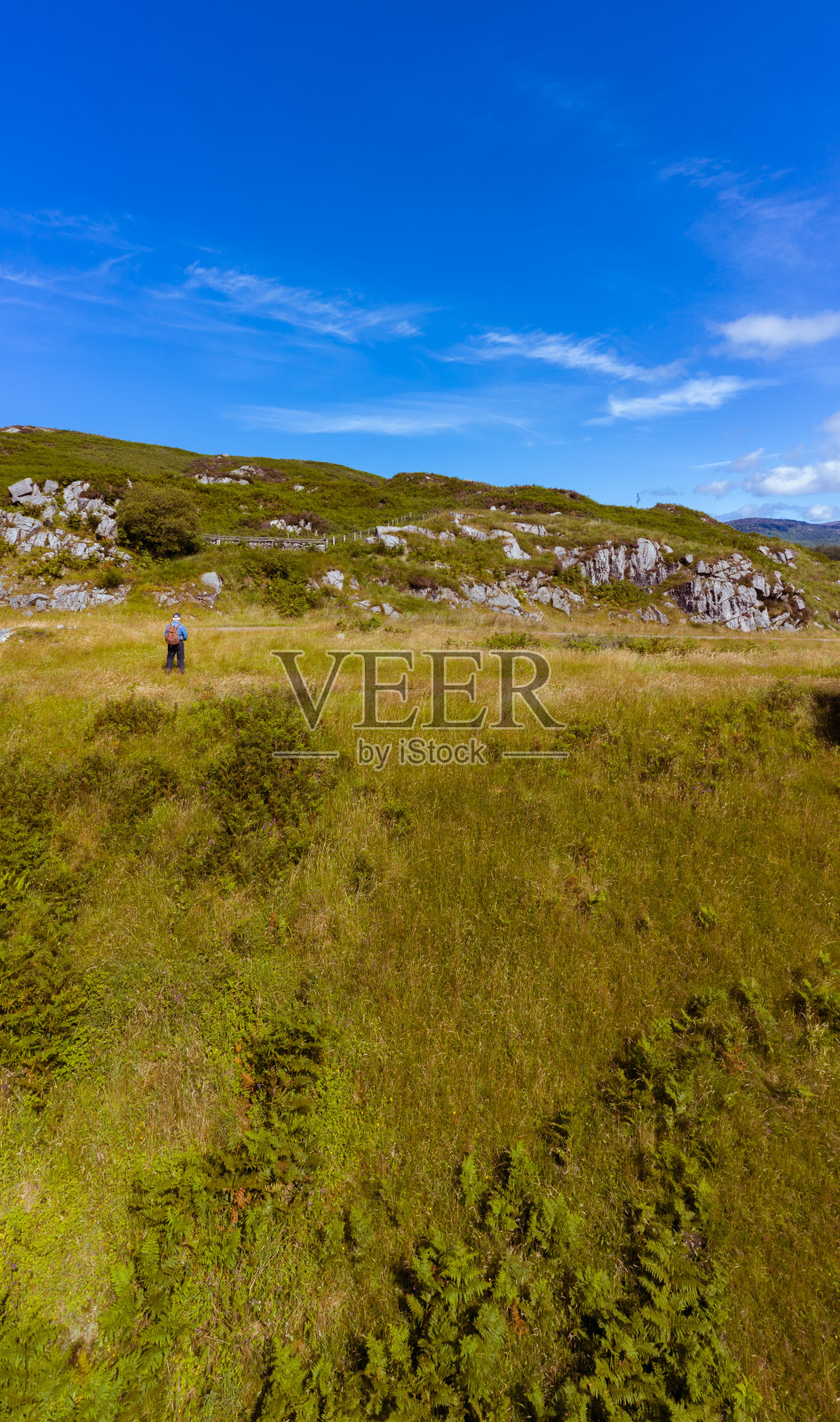 一个活跃的老年人在苏格兰农村的垂直后视图照片摄影图片