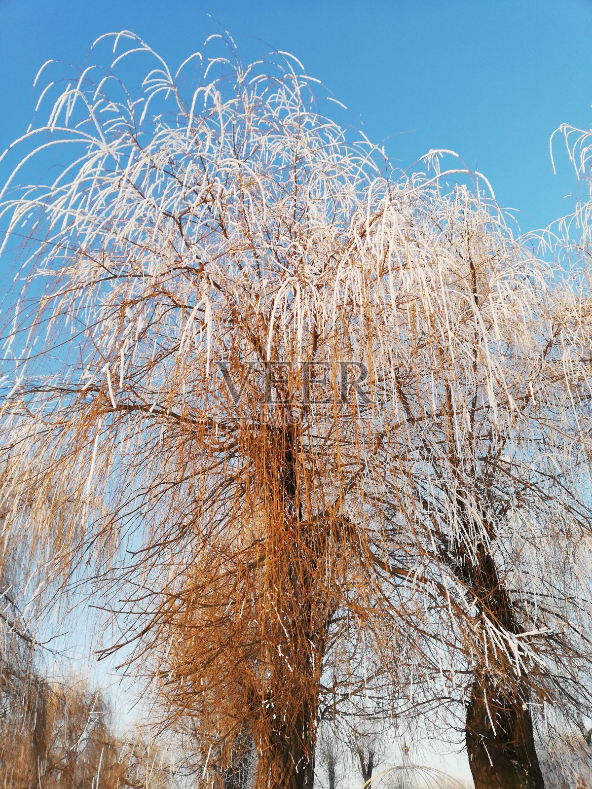 乌克兰照片摄影图片