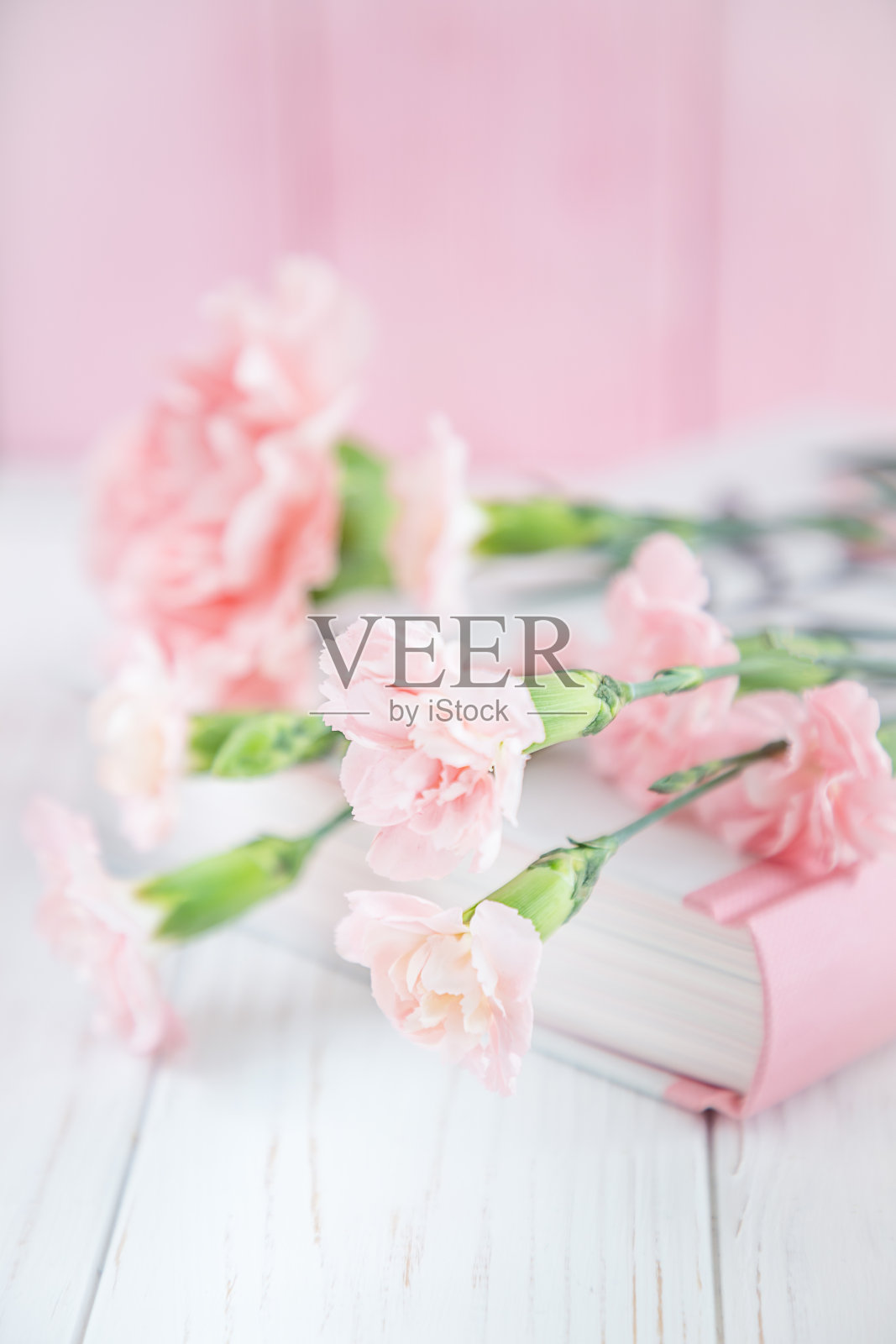 粉红色的康乃馨花和书在白色和粉红色的木制背景上。自由空间照片摄影图片