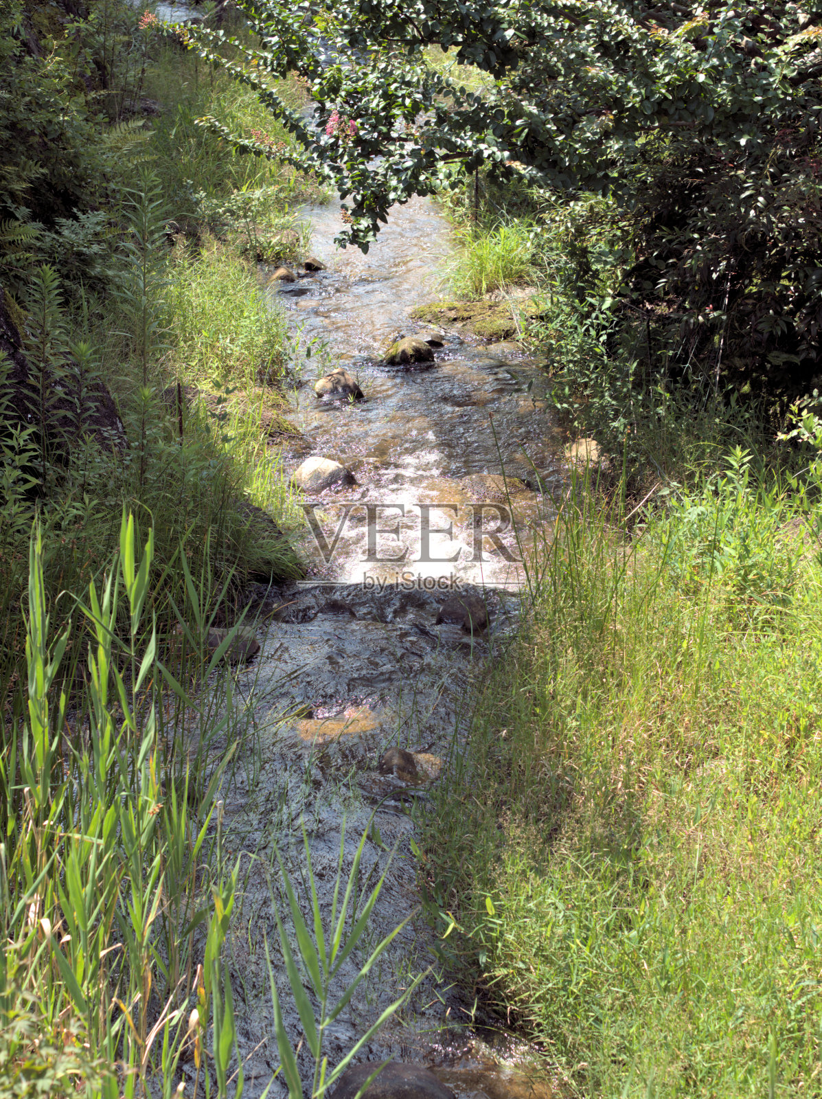 小河照片摄影图片