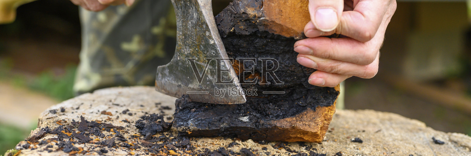 男人们用斧头在新鲜的空气中清理白桦蘑菇的菌类。一步一步。横幅照片摄影图片