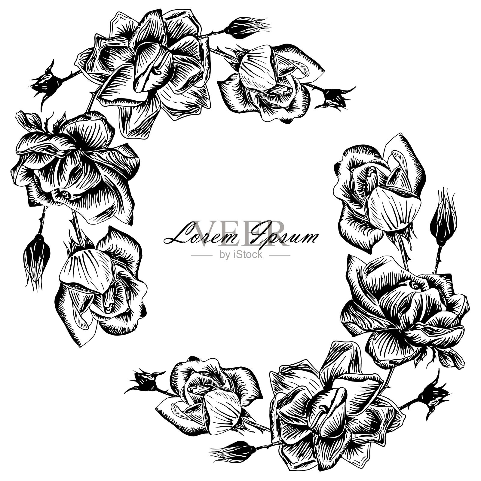 玫瑰背景框,Lorem Ipsum。花笔画单色手绘墨水插画图片素材