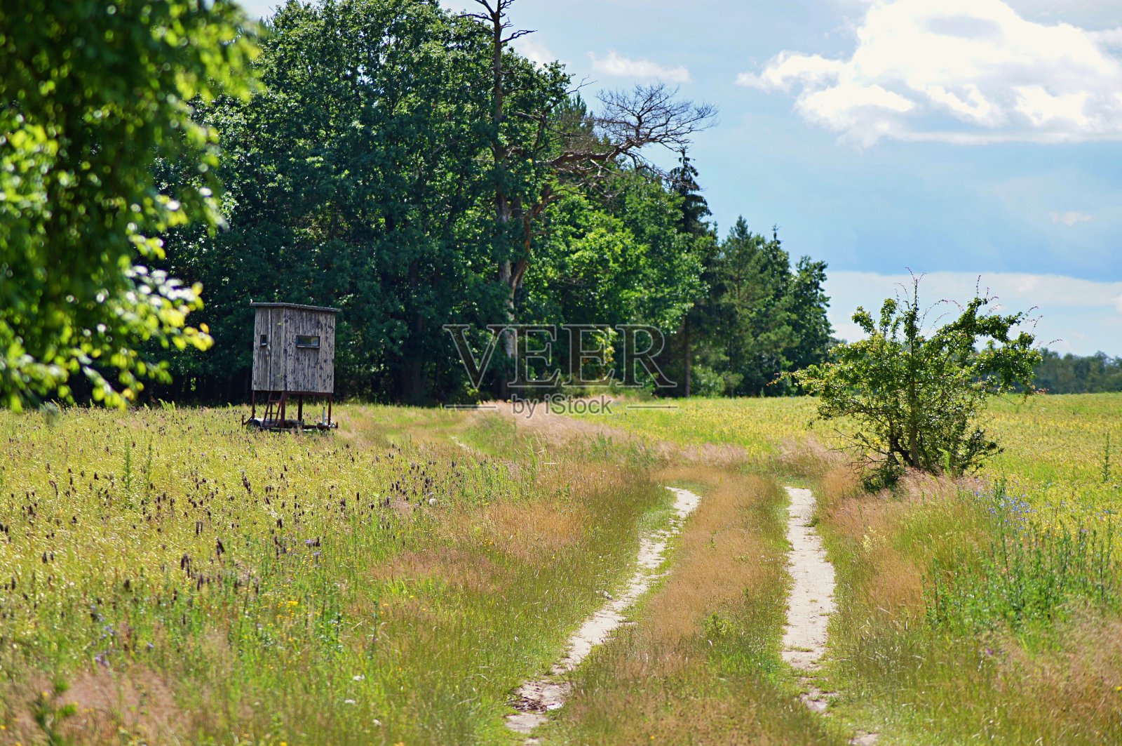 穿过草地的土路照片摄影图片