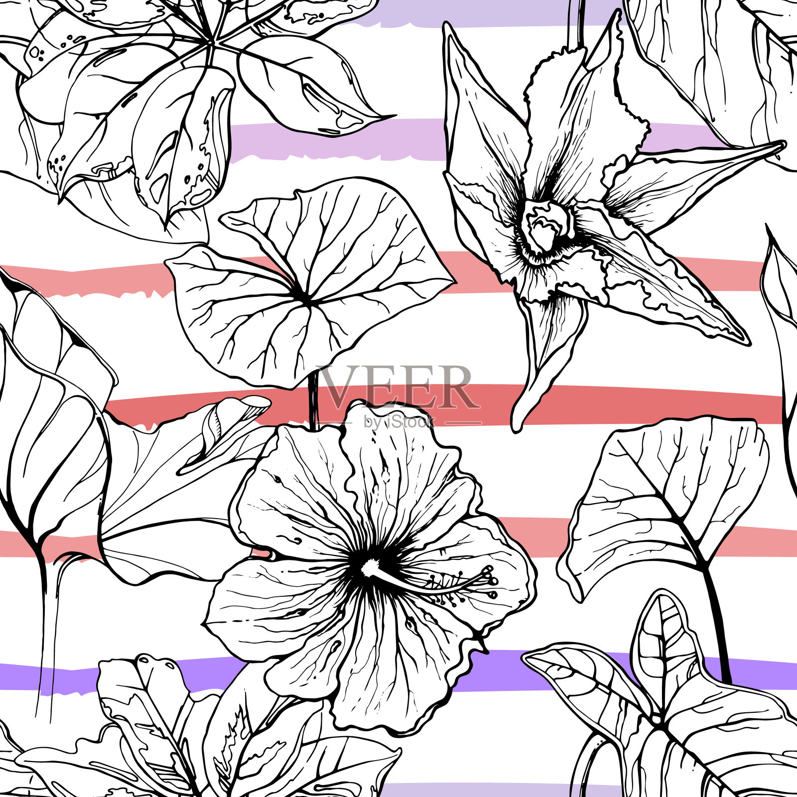 热带,现代条纹图案插画图片素材